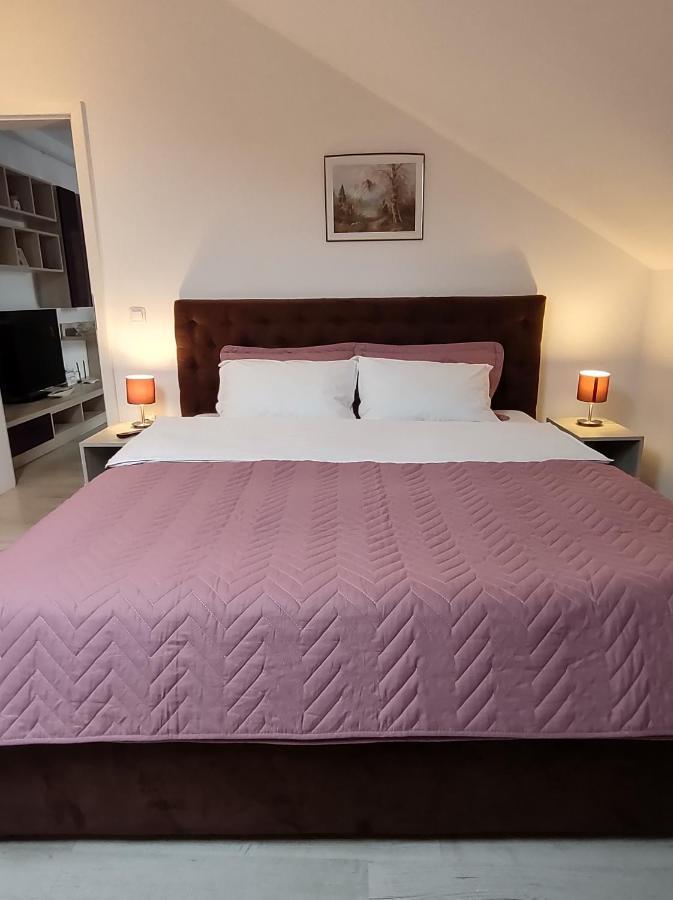 Simona Apartament Palas Mall Iasi Extérieur photo