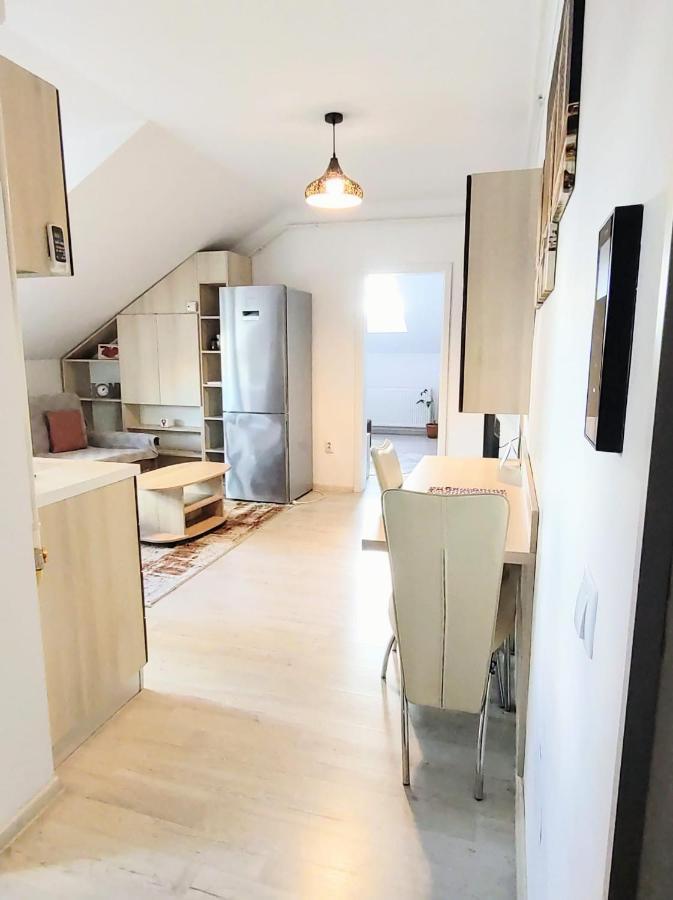 Simona Apartament Palas Mall Iasi Extérieur photo
