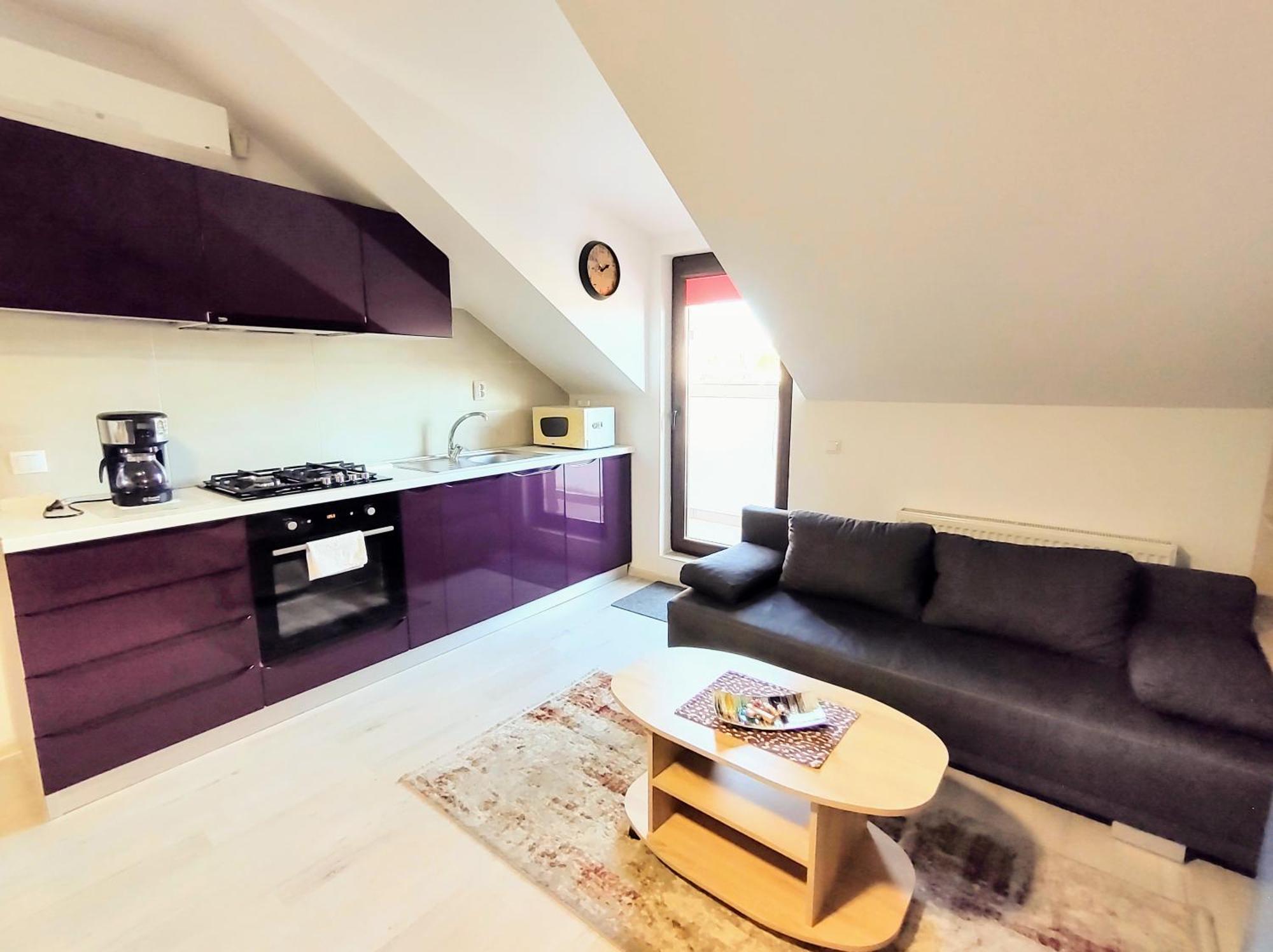 Simona Apartament Palas Mall Iasi Extérieur photo