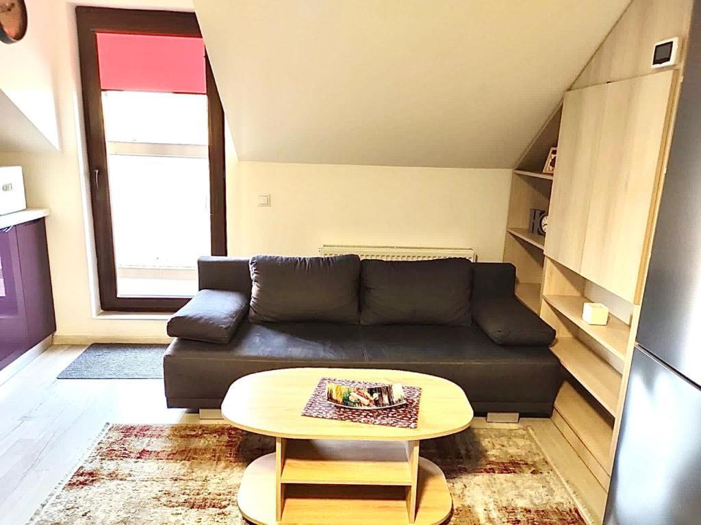 Simona Apartament Palas Mall Iasi Extérieur photo